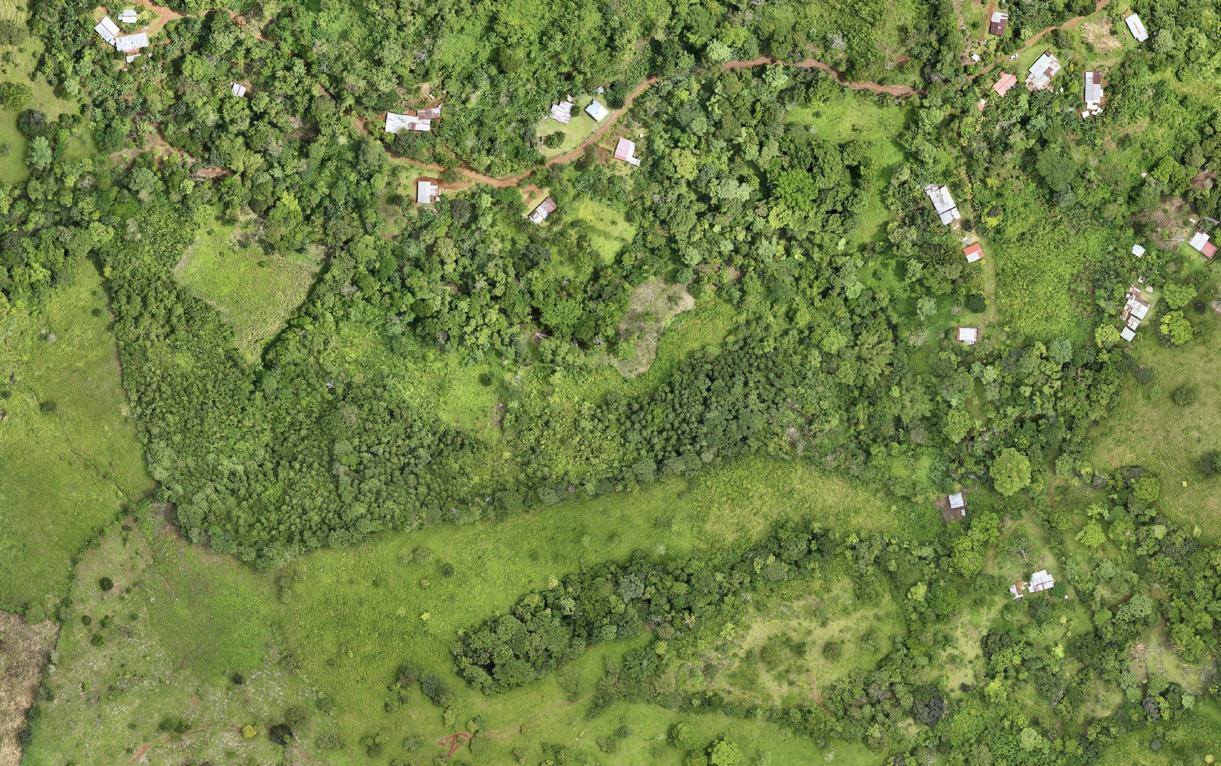 Aerial orthophoto of a forested property with buildings and access roads